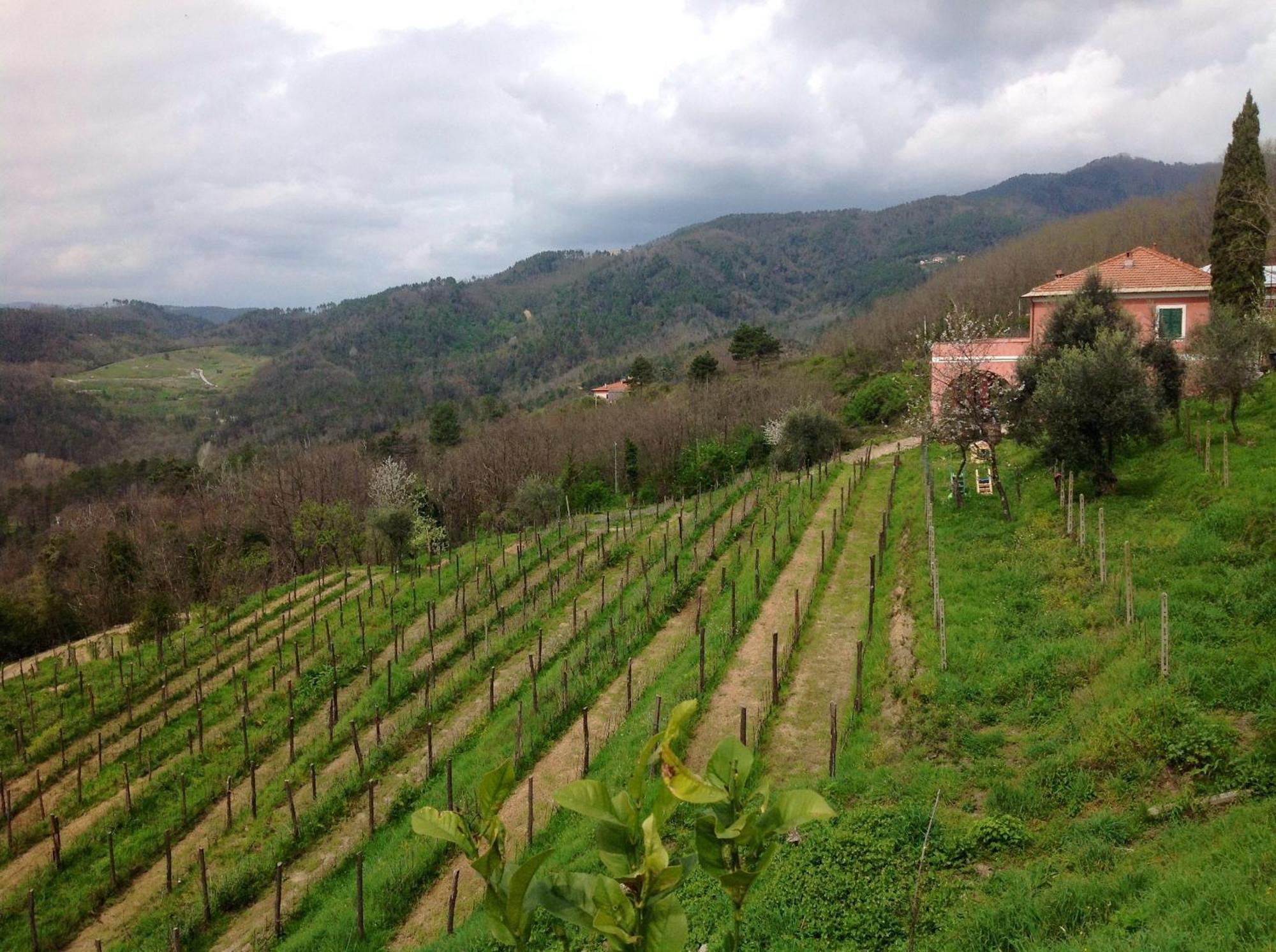 Agriturismo Cerrolungo Villa La Spezia Exterior photo